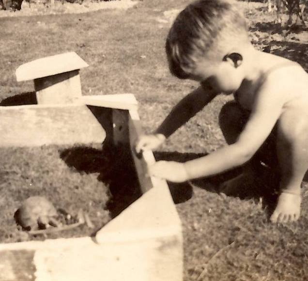 My father, Oliver Riddell, at age three in 1944 with Peter the tortoise. When this photo was taken Peter had already been in the Hughes/Riddell family for 30 years, and would live for another 50 years.